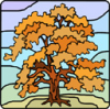 image  Plants Trees