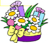 image  Plants Flowers