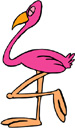 image Animals Flamingo