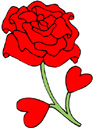 image Plants Roses