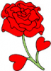 image  Plants Roses