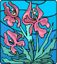 image Plants Flowers