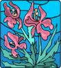 image  Plants Flowers