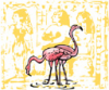 image  Animals Flamingo