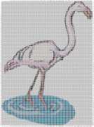 pattern Animals Flamingo