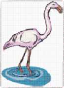 pattern Animals Flamingo
