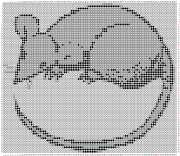 pattern Animals Mice