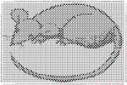 pattern Animals Mice