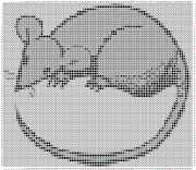 pattern Animals Mice