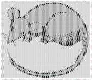 pattern Animals Mice