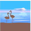 image Animals Flamingo