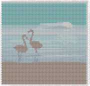 pattern Animals Flamingo