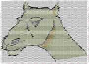 pattern Animals Camels