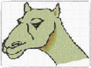 pattern Animals Camels