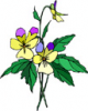 image  Plants 