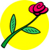 image  Plants Roses