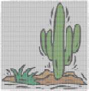 pattern Plants Cactuses