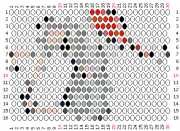 pattern Animals Mice