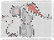 pattern Animals Mice
