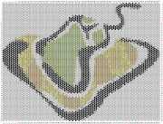 pattern Animals Mice