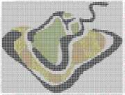 pattern Animals Mice
