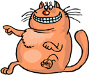 image Animals Cats