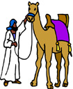 image Animals Camels