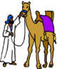 image  Animals Camels