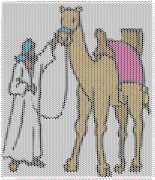 pattern Animals Camels