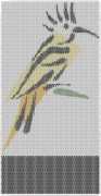 pattern Animals Birds