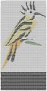 pattern Animals Birds
