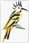 pattern Animals Birds