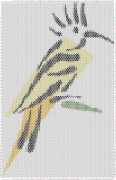 pattern Animals Birds