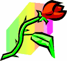 image Plants Roses