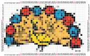 pattern Animals Birds