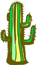 image Plants Cactuses