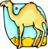 image  Animals Camels