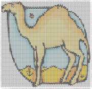 pattern Animals Camels