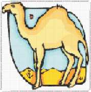 pattern Animals Camels