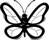 image  Animals Butterflies