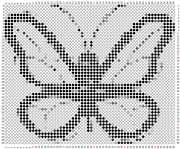 pattern Animals Butterflies