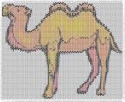 pattern Animals Camels