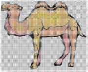 pattern Animals Camels