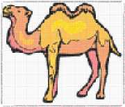 pattern Animals Camels