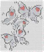 pattern Animals Butterflies