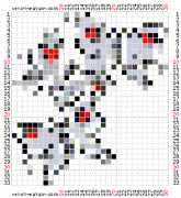 pattern Animals Butterflies