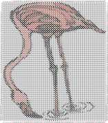 pattern Animals Flamingo