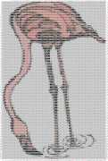 pattern Animals Flamingo