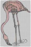 pattern Animals Flamingo