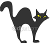 image  Animals Cats